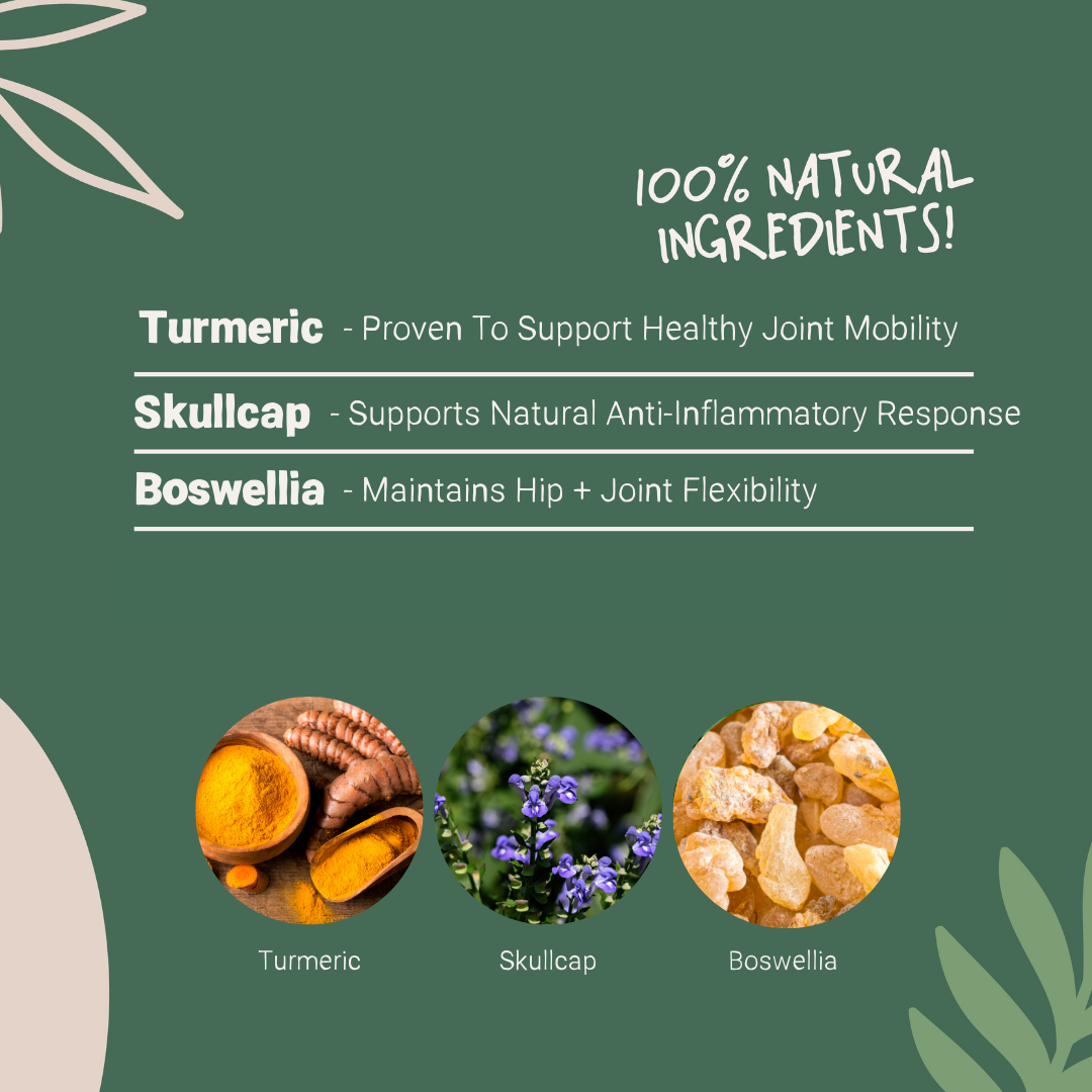 Joint Aid Supplement for Dogs 100 Natural Pets Purest