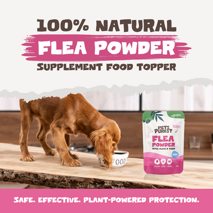Natural Flea & Tick Powder | 250g