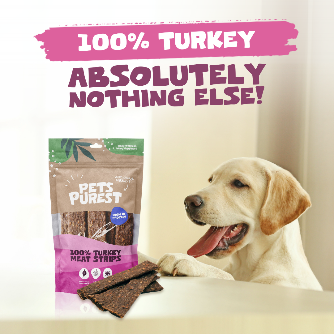100% Natural Turkey Meat Strips for Dogs | 100g