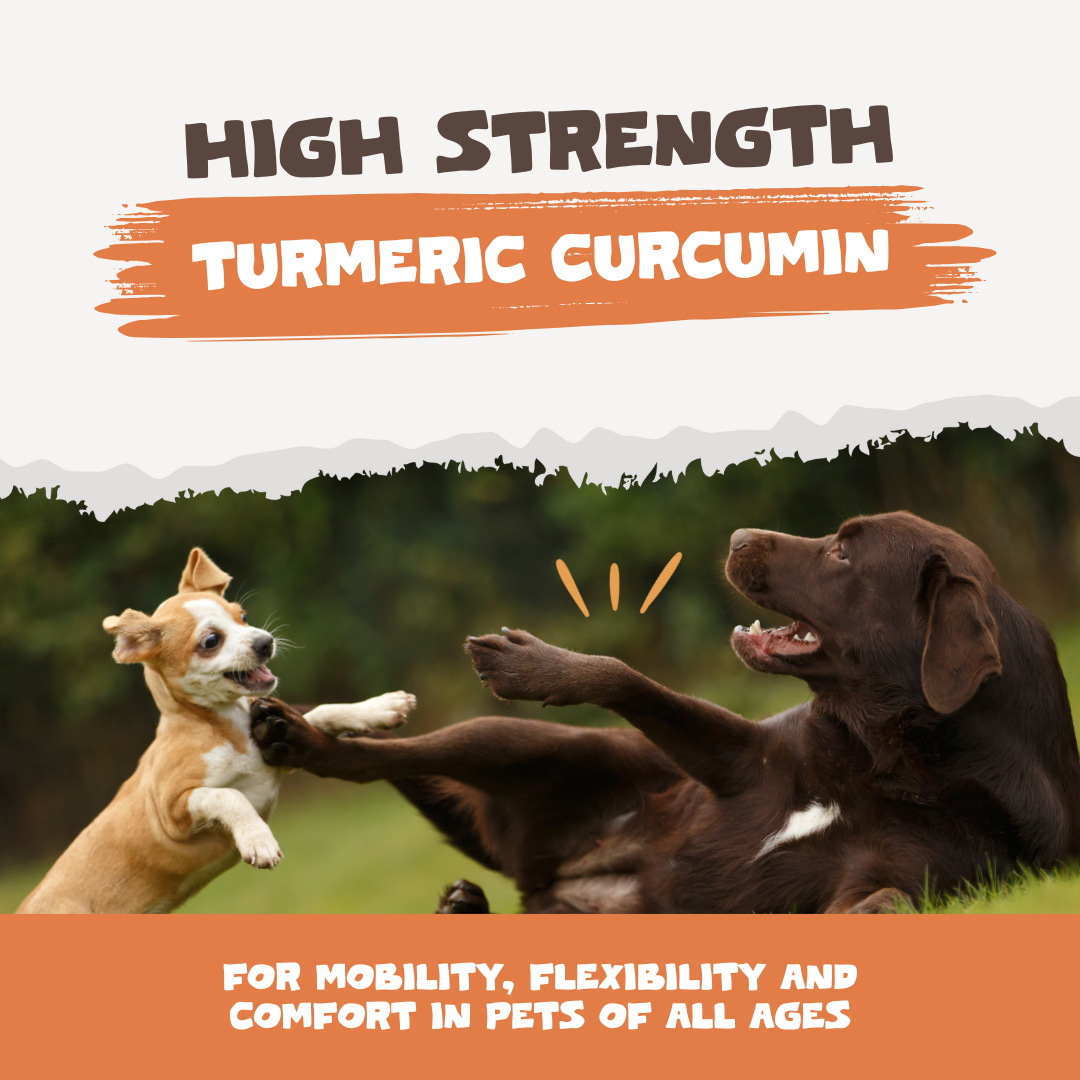 Natural Turmeric Curcumin for Dogs & Cats | 60 Capsules