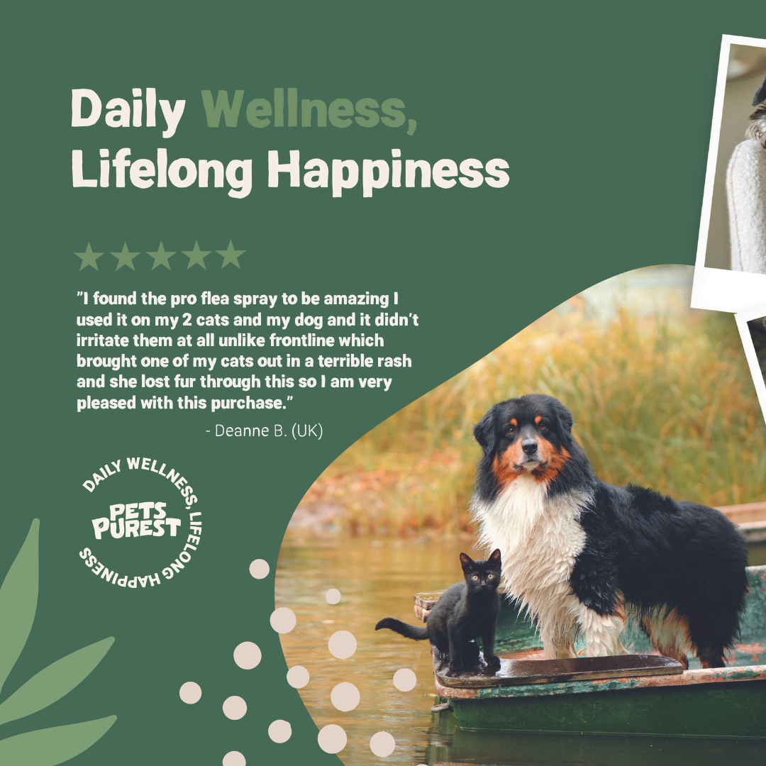 Natural Flea, Lice & Tick Spray for Dogs | 500ml