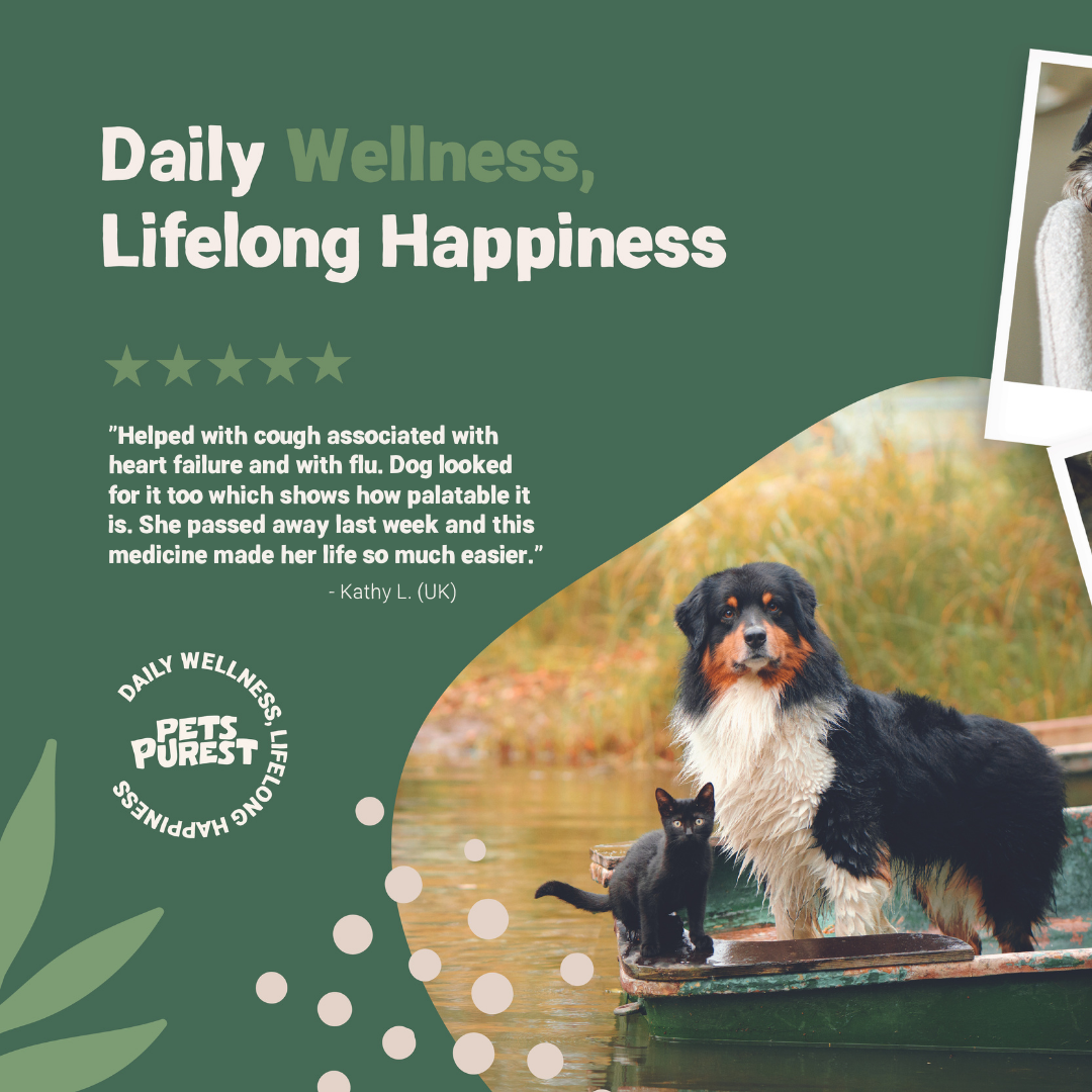 Cough Drops for Dogs and Cats | 30ml