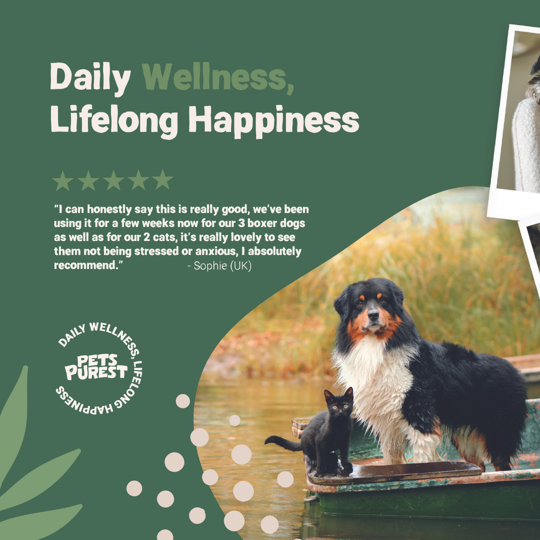 Calming Drops for Dogs and Cats | 50ml