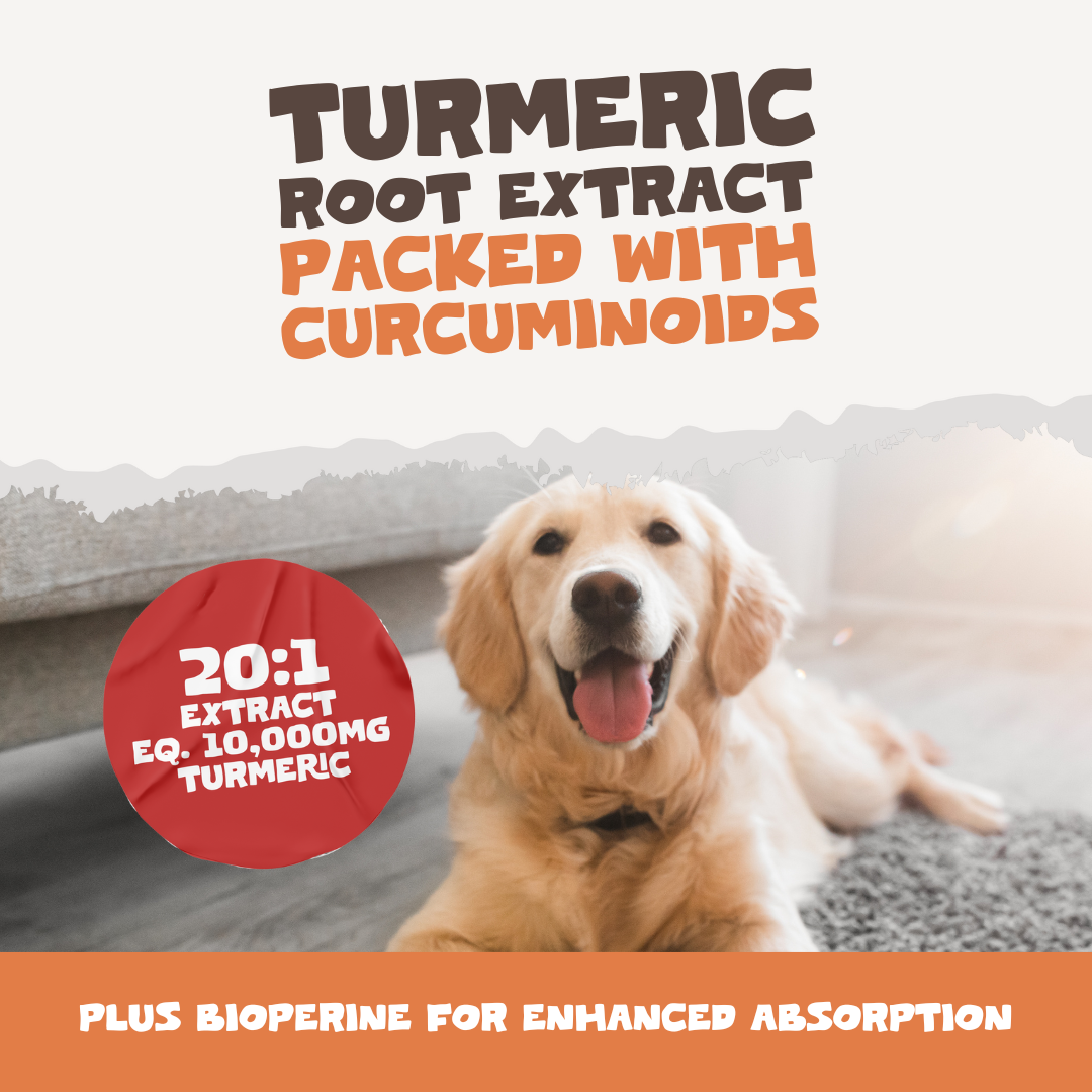 Natural Turmeric Curcumin | 60 Capsules