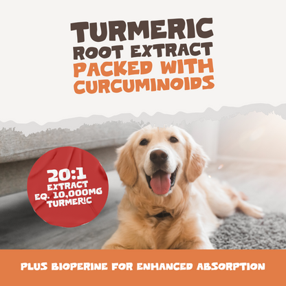 Natural Turmeric Curcumin | 60 Capsules