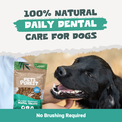 Plaque Support Dental Treats | 200g