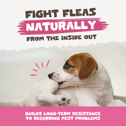 Natural Flea & Tick Powder | 250g