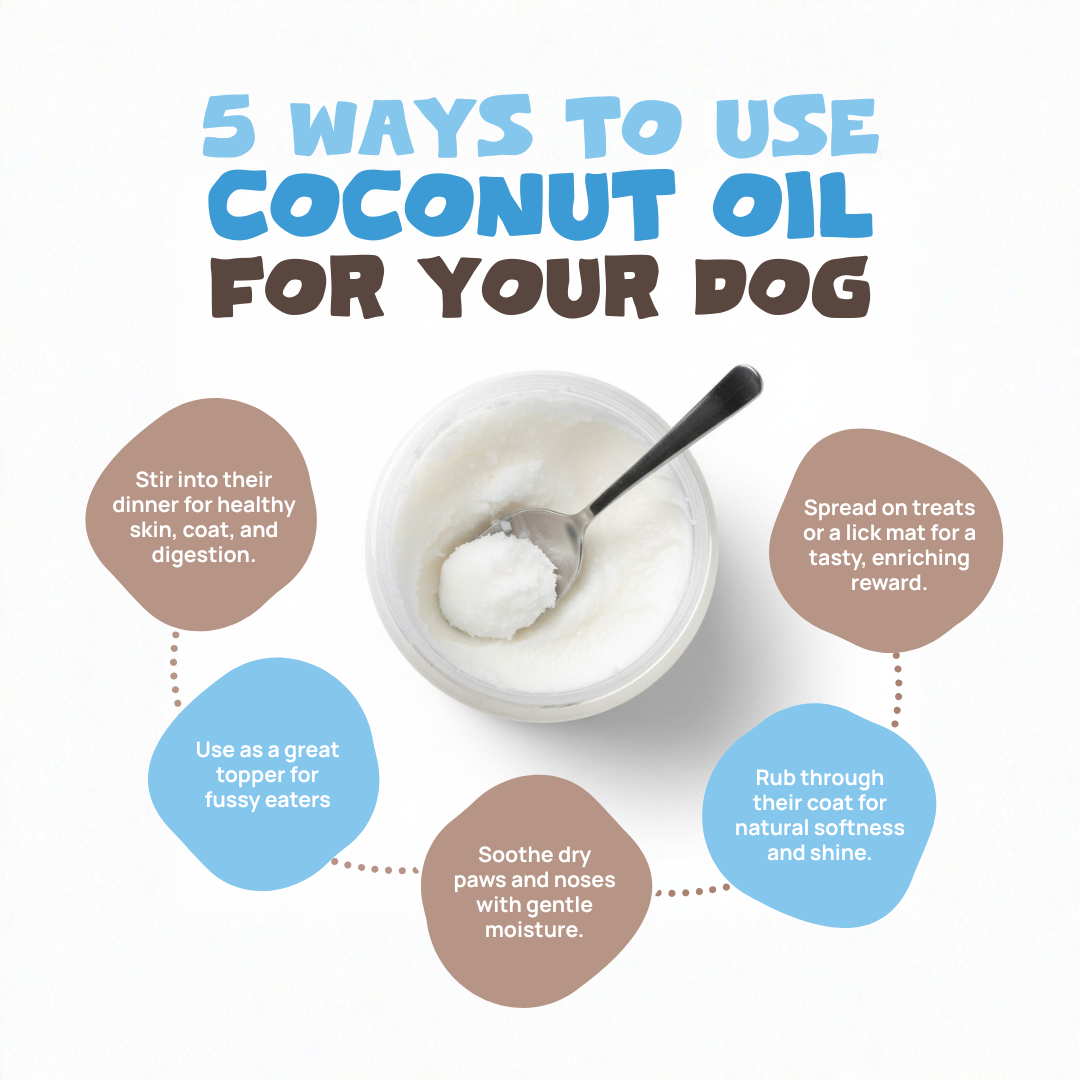 Natural Coconut Oil for Dogs