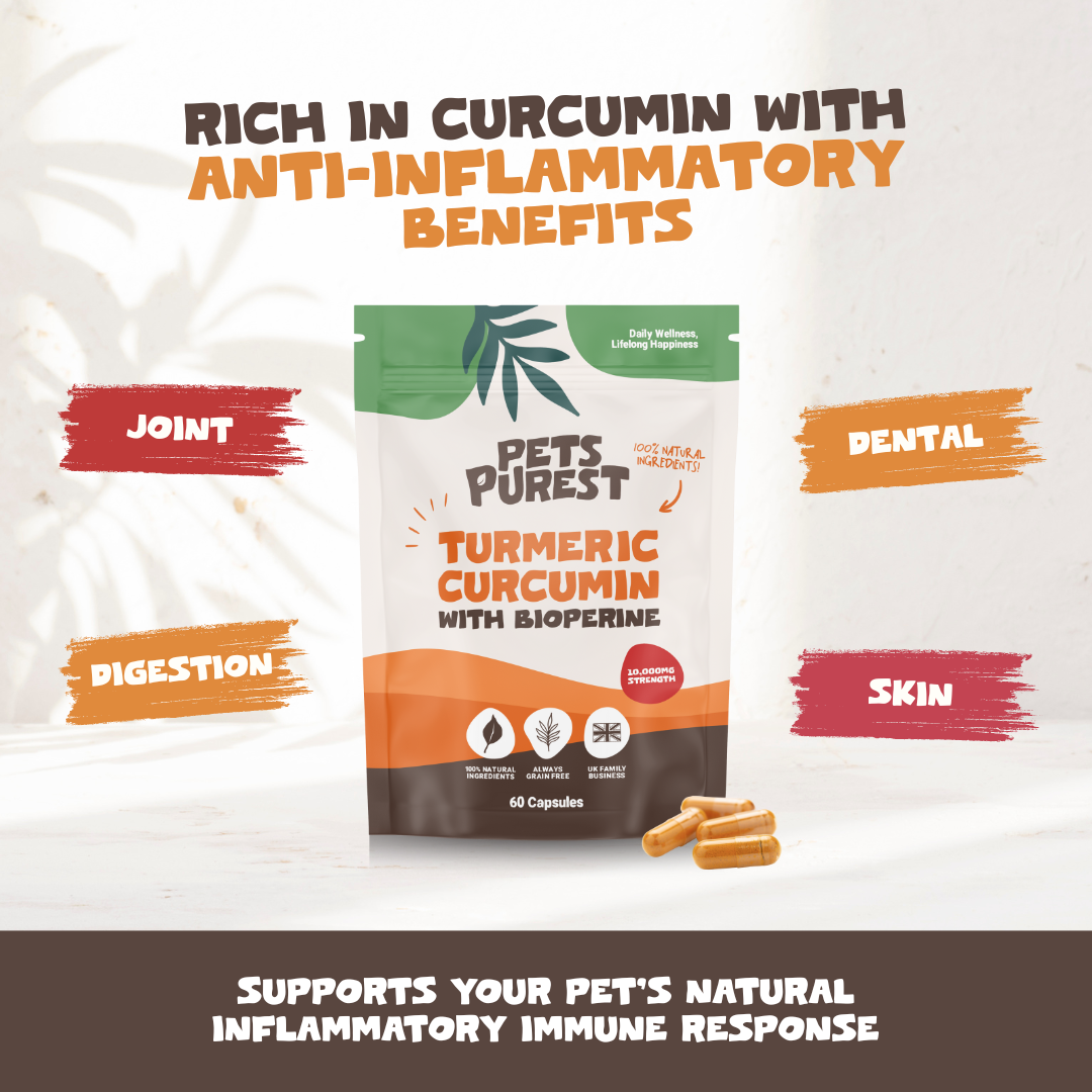 Natural Turmeric Curcumin for Dogs & Cats | 60 Capsules