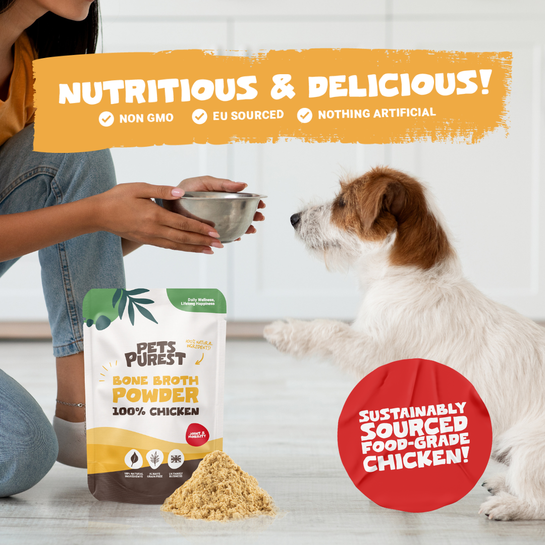Chicken Bone Broth Powder For Dogs & Cats | 250g