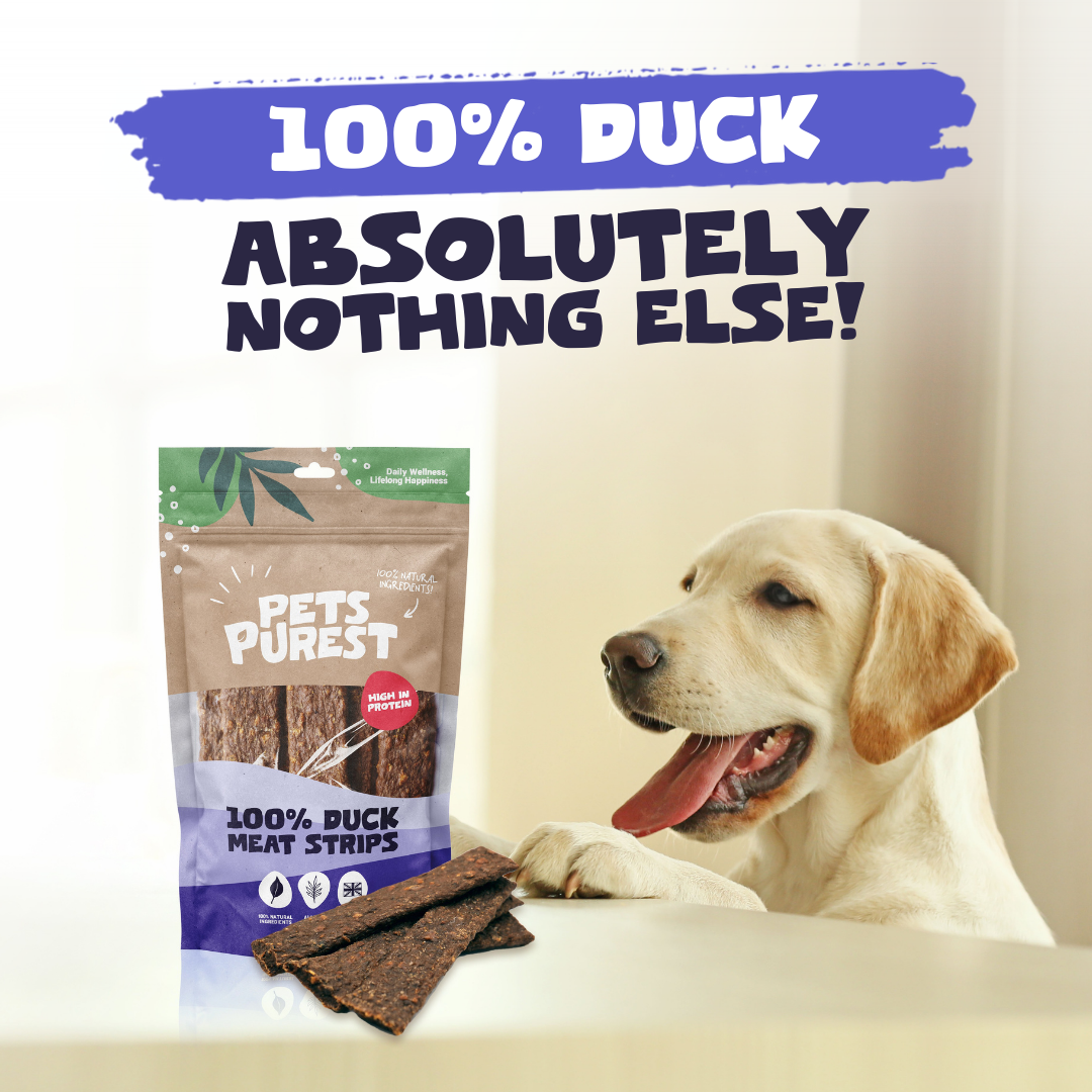 100% Natural Duck Meat Strips for Dogs | 100g
