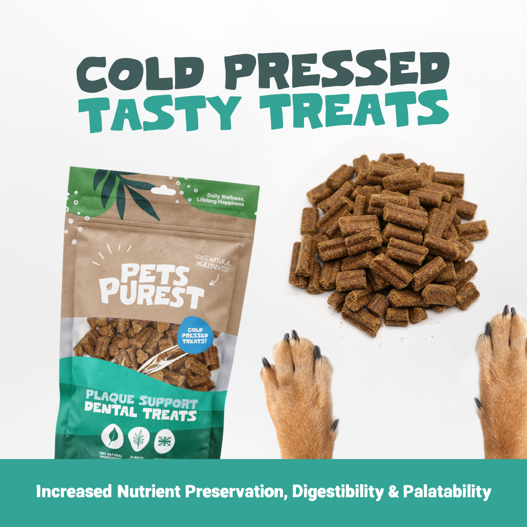 Plaque Support Dental Treats | 200g