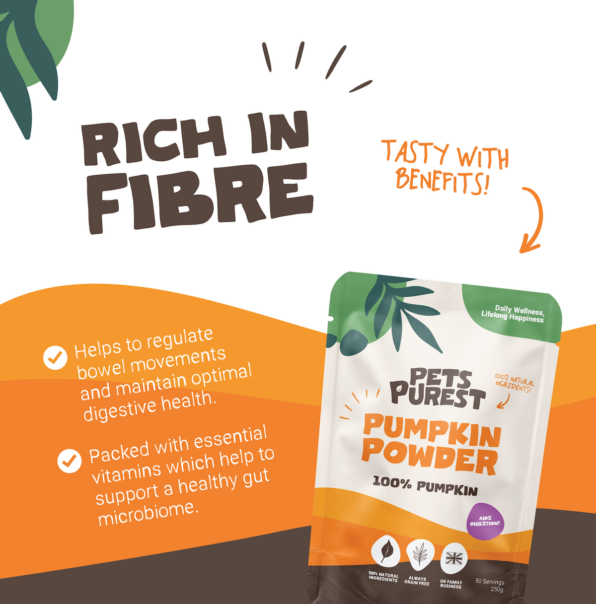 Pumpkin Powder for Dogs & Cats | 250g