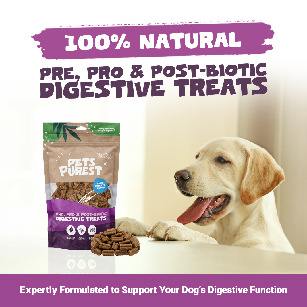 Pre, Pro & Post-Biotic Digestive Treats | 200g