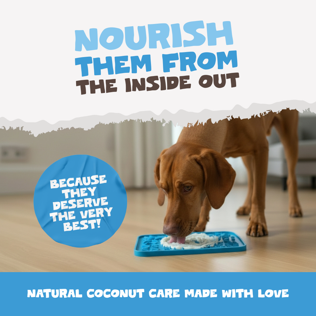 Natural Coconut Oil for Dogs