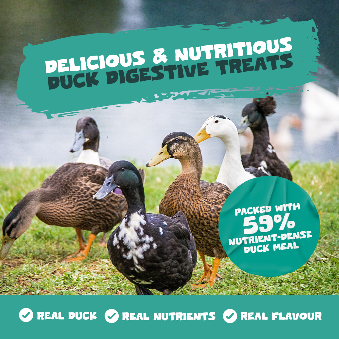 Plaque Support Dental Treats | 200g