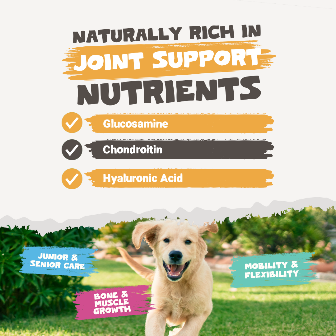 Chicken Bone Broth Powder For Dogs & Cats | 250g
