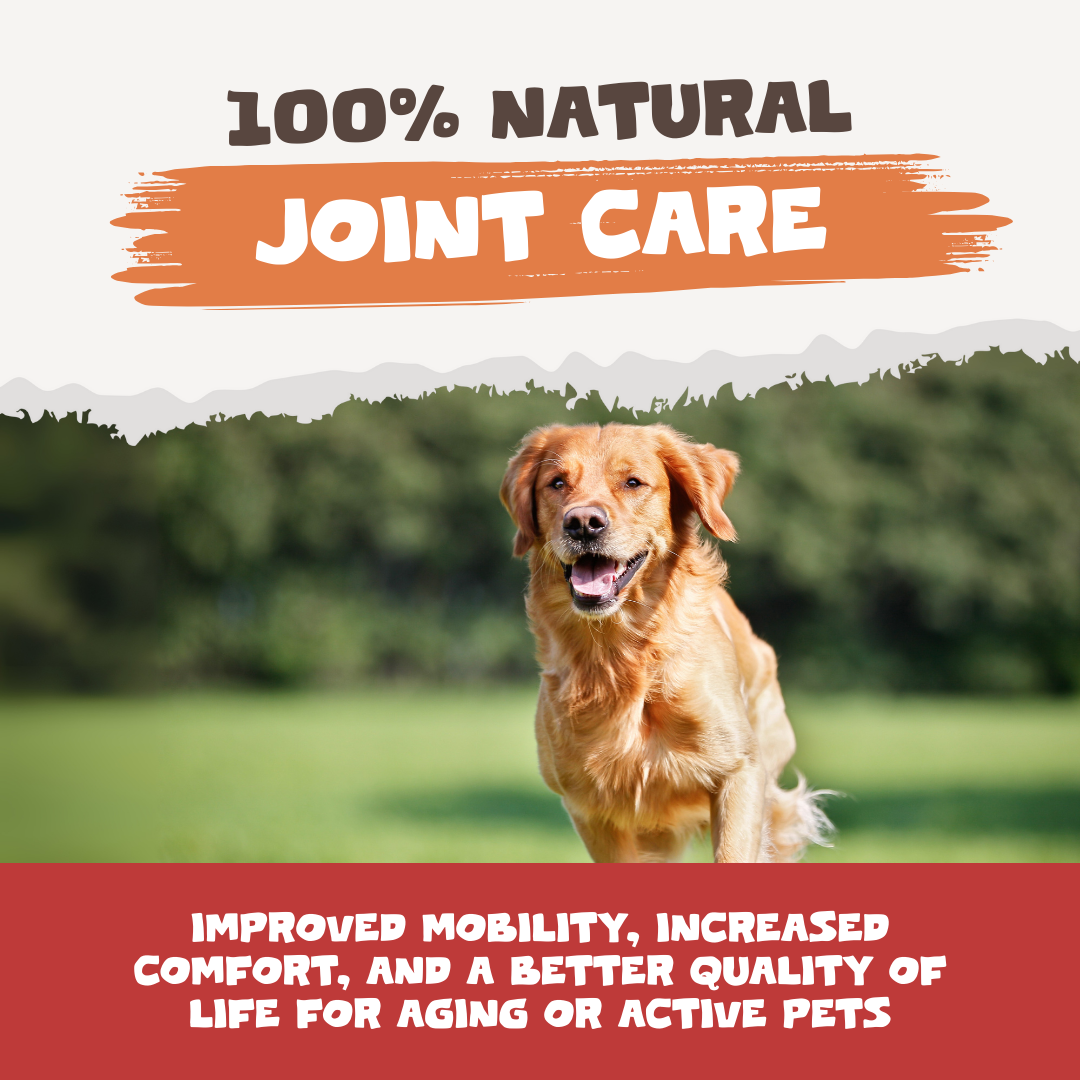 Natural Turmeric Curcumin for Dogs & Cats | 60 Capsules