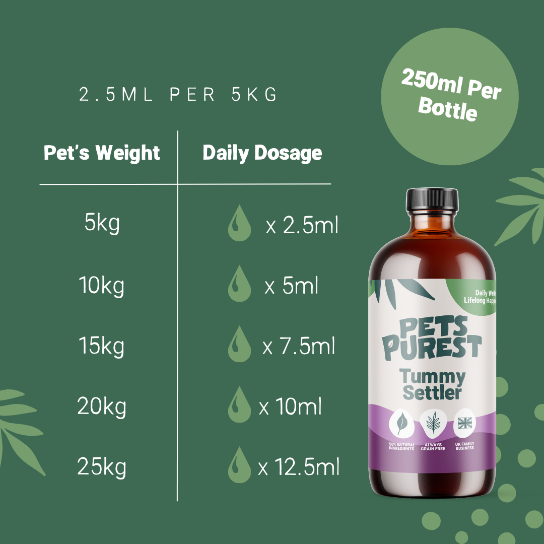 Natural Tummy Settler for Dogs & Cats | 250ml