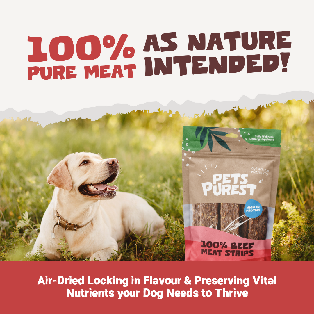 100% Natural Beef Meat Strips | 100g