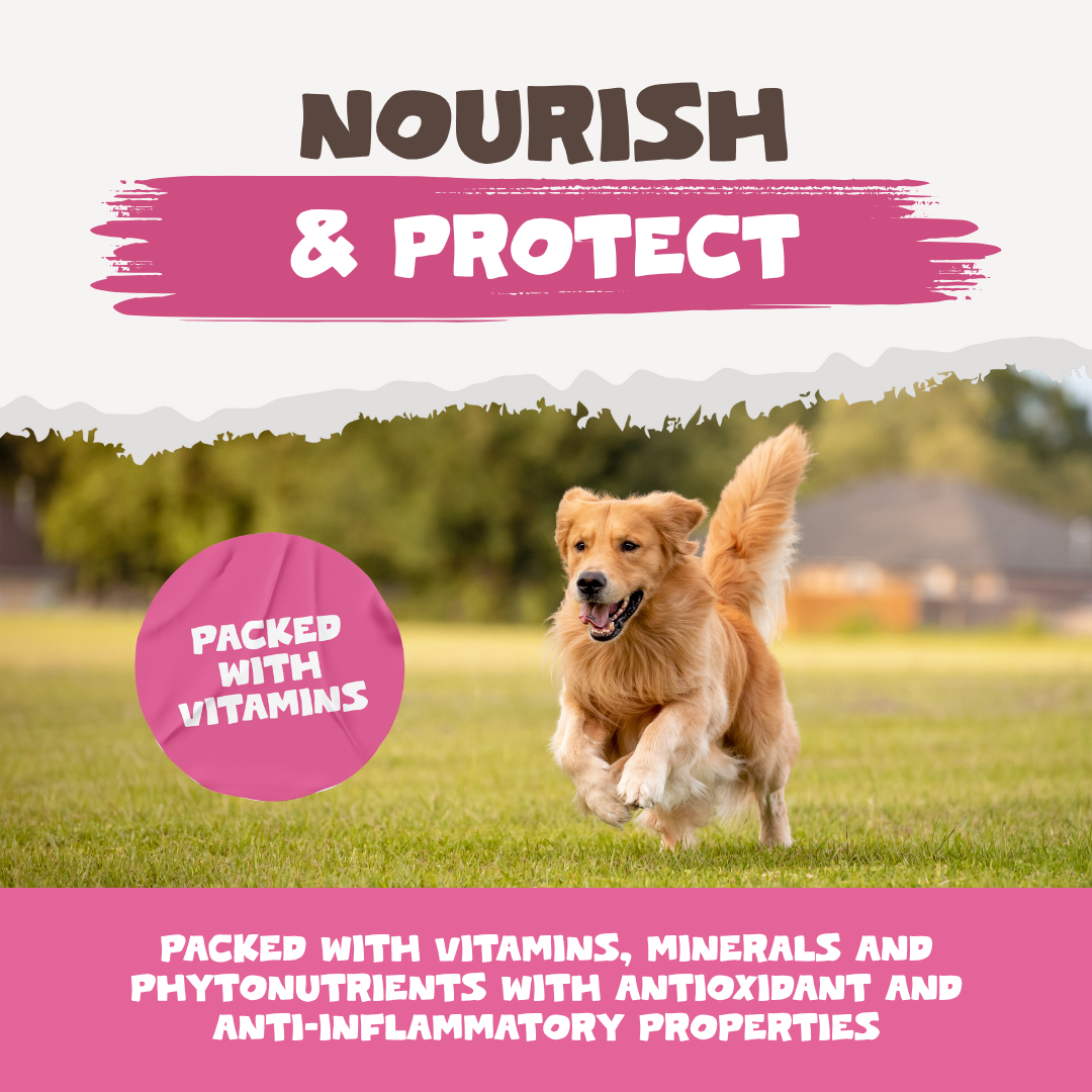 Natural Flea & Tick Powder | 250g