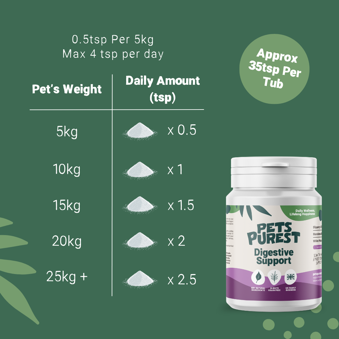 Digestive Support Powder for Dogs and Cats | 100g