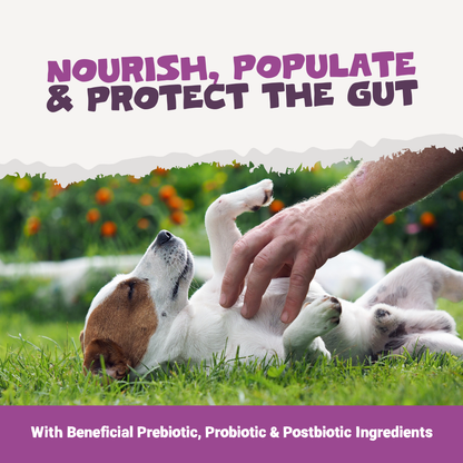 Pre, Pro & Post-Biotic Digestive Treats | 200g