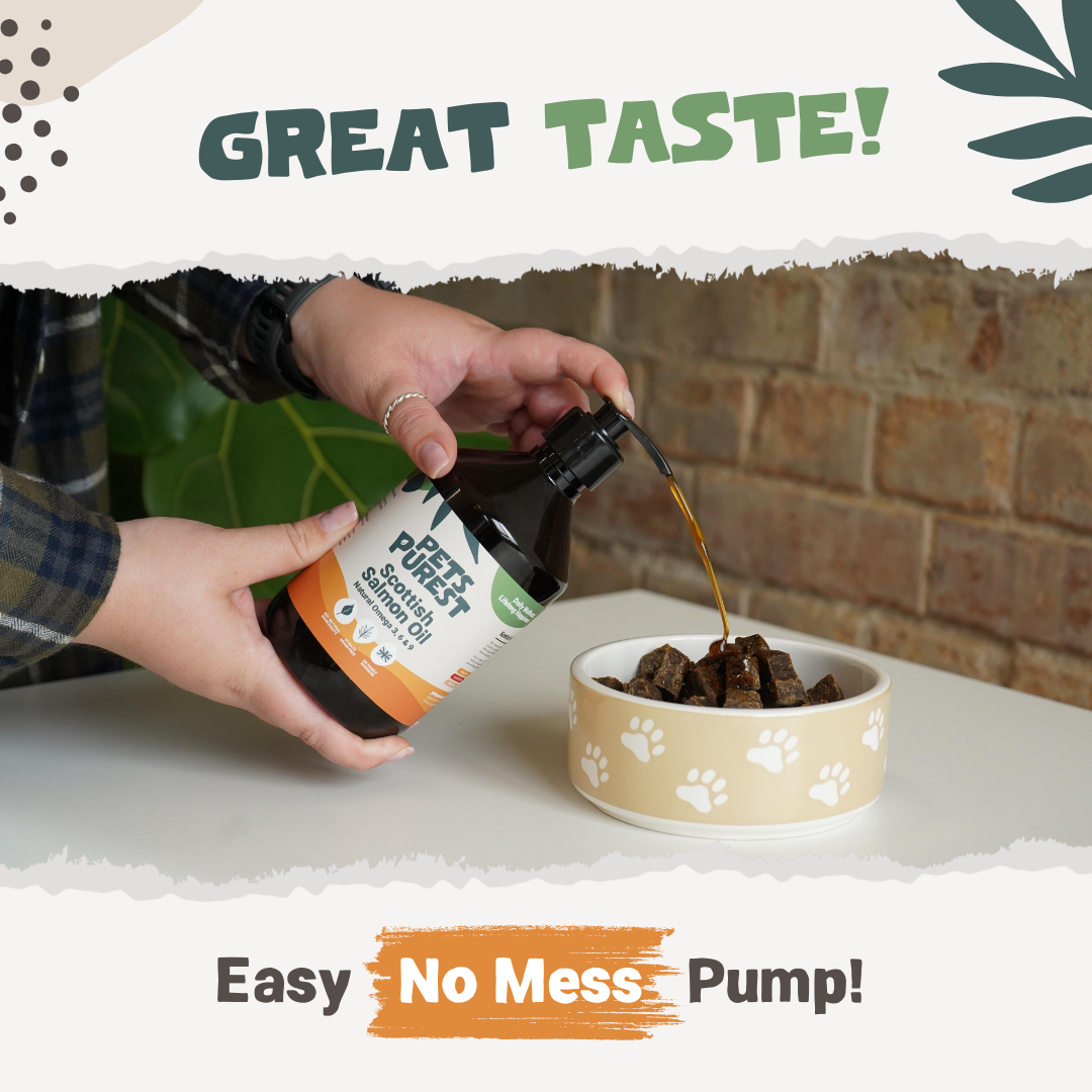 Natural Scottish Salmon Oil 2500ml | For Dogs & Cats