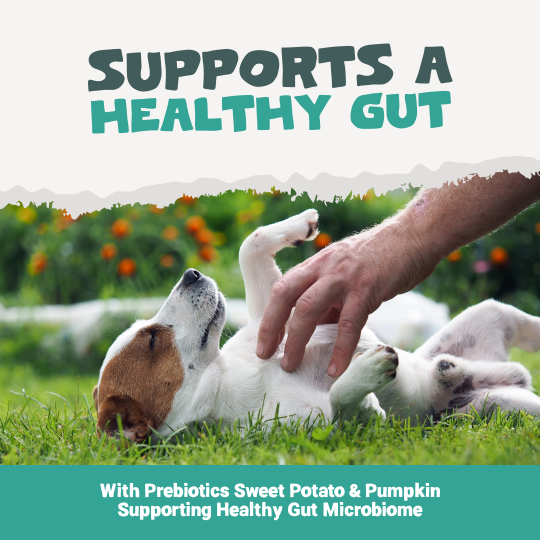 Plaque Support Dental Treats | 200g