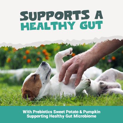 Plaque Support Dental Treats | 200g