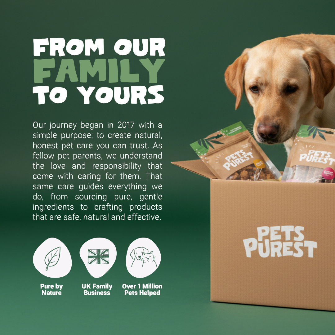 Natural Coconut Oil for Dogs