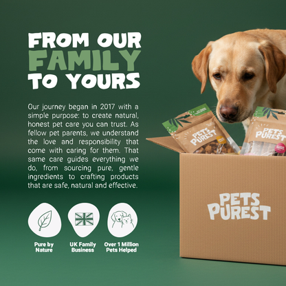 Natural Coconut Oil for Dogs