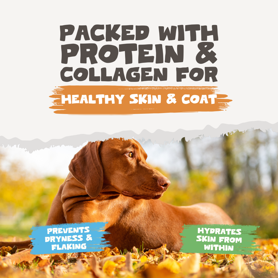 Chicken Bone Broth Powder For Dogs & Cats | 250g