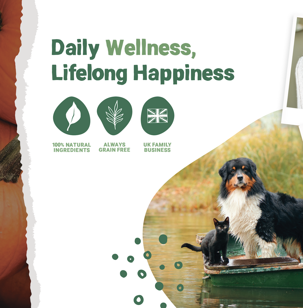 Pumpkin Powder for Dogs & Cats | 250g