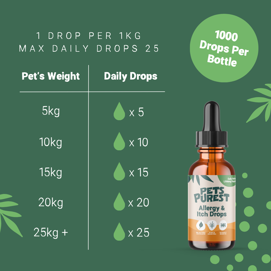 All Itch Drops 50ml for Dogs and Cats