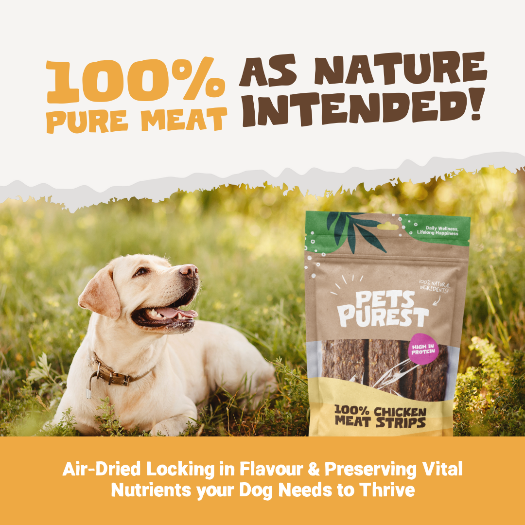 100% Natural Chicken Meat Strips for Dogs | 100g