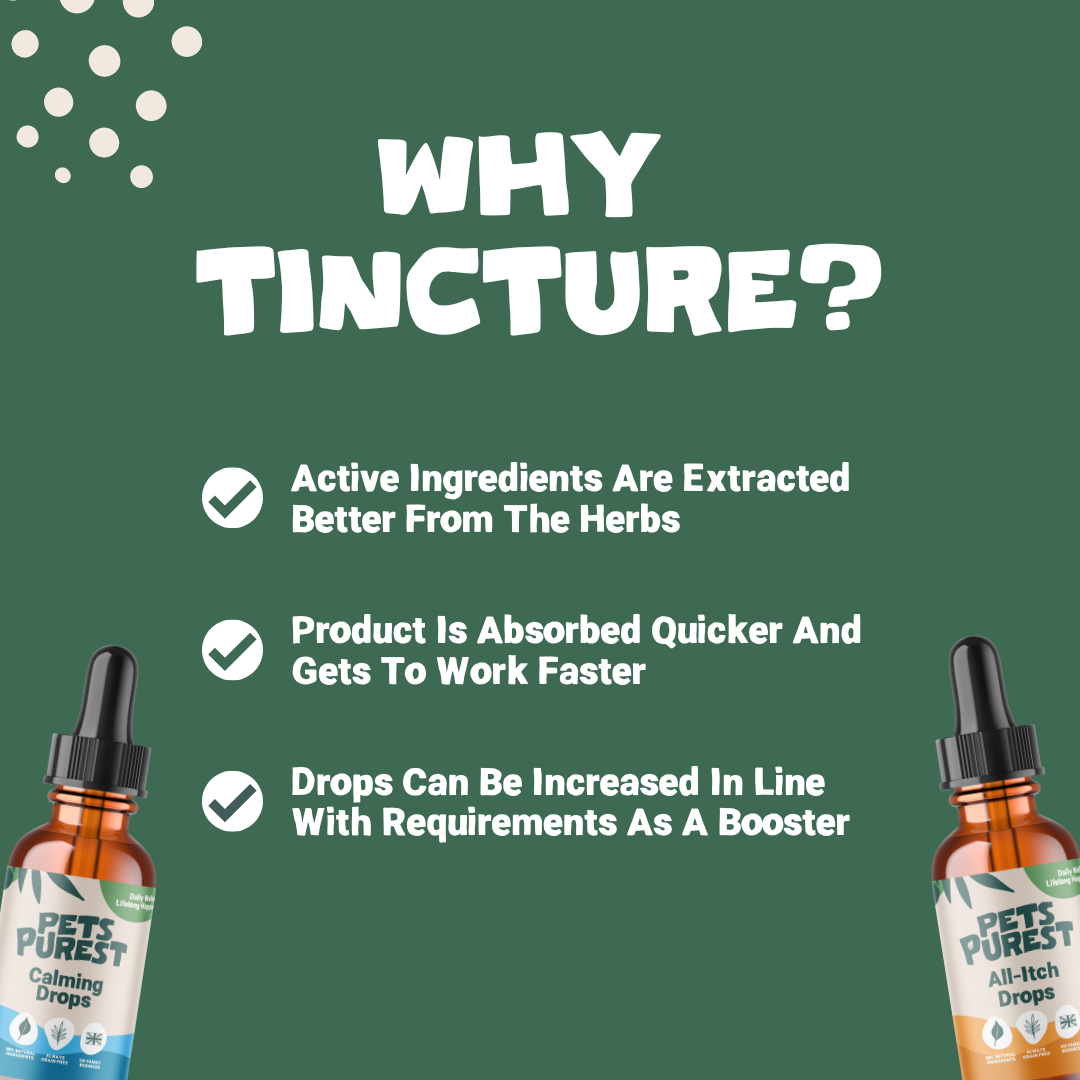 All Itch Drops 50ml for Dogs and Cats