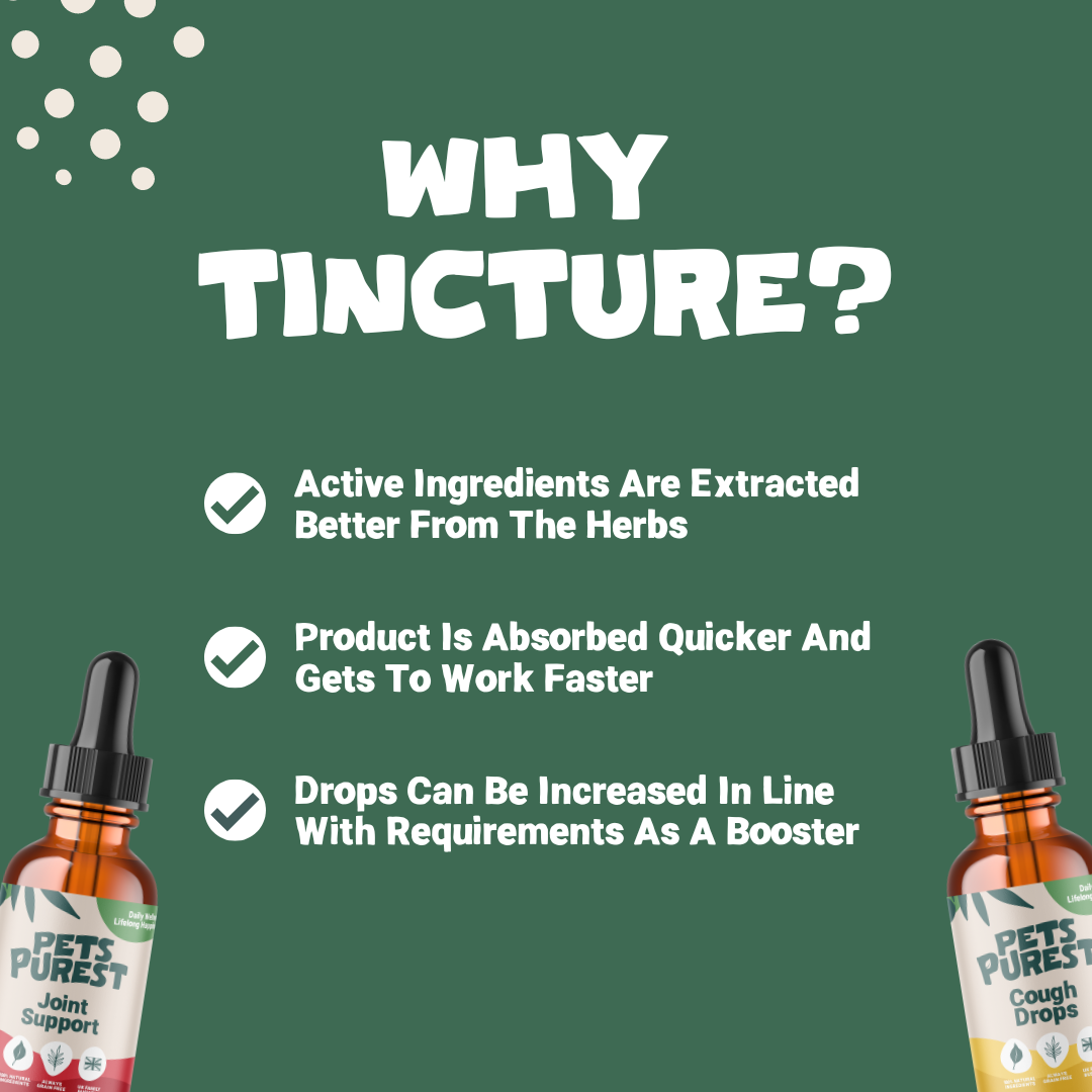 Cough Drops for Dogs and Cats | 30ml