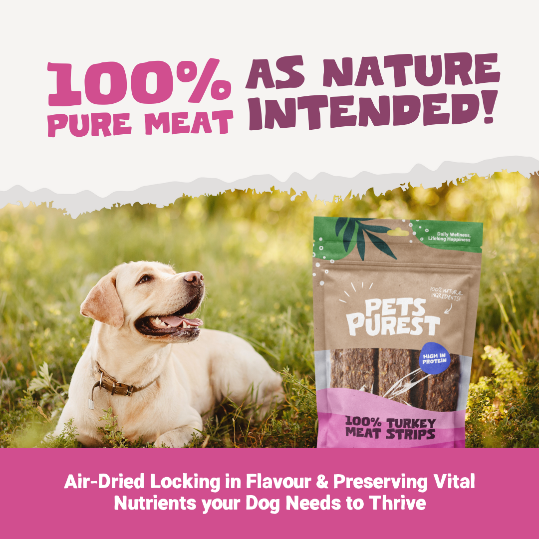 100% Natural Turkey Meat Strips for Dogs | 100g