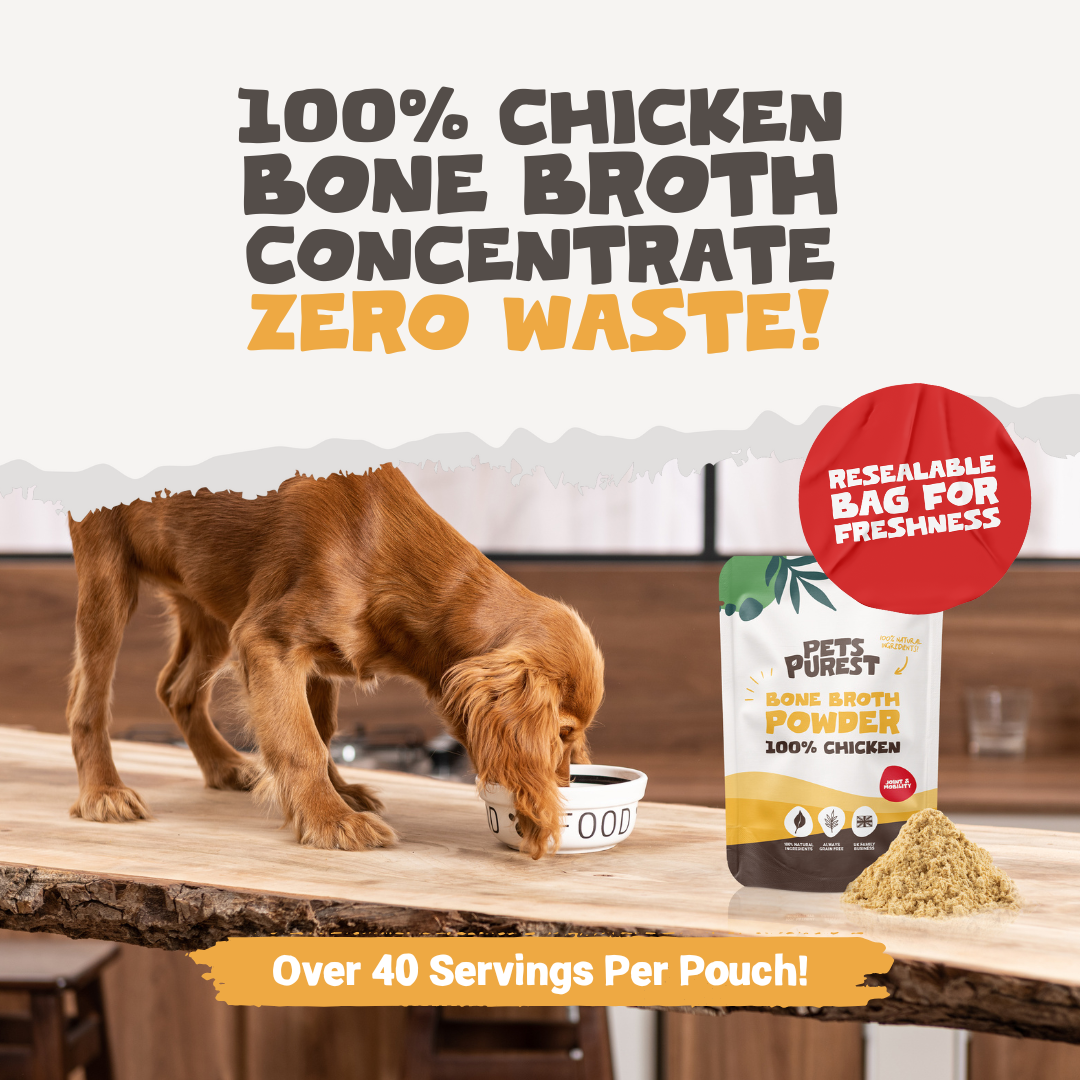 Chicken Bone Broth Powder For Dogs & Cats | 250g