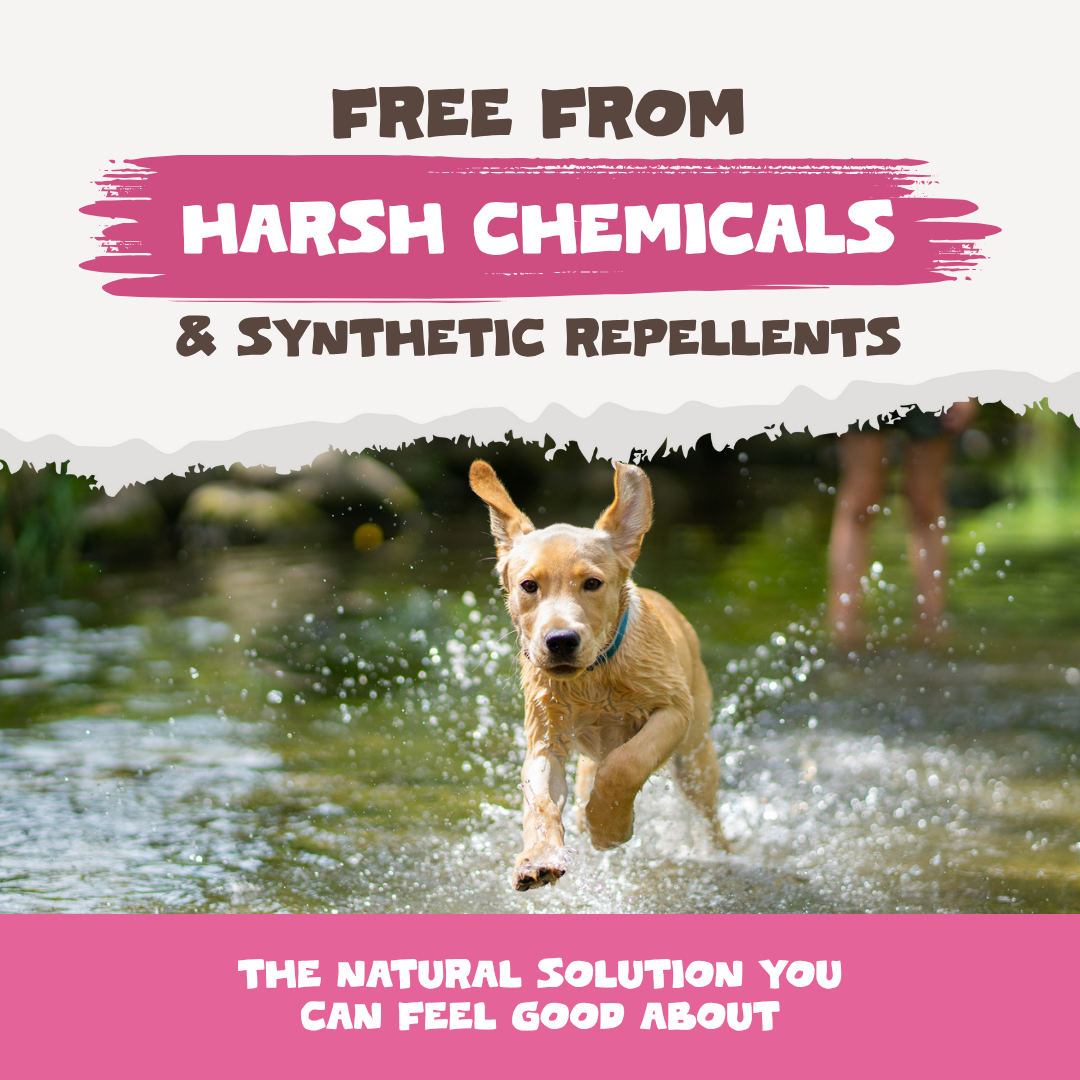 Natural Flea & Tick Powder | 250g