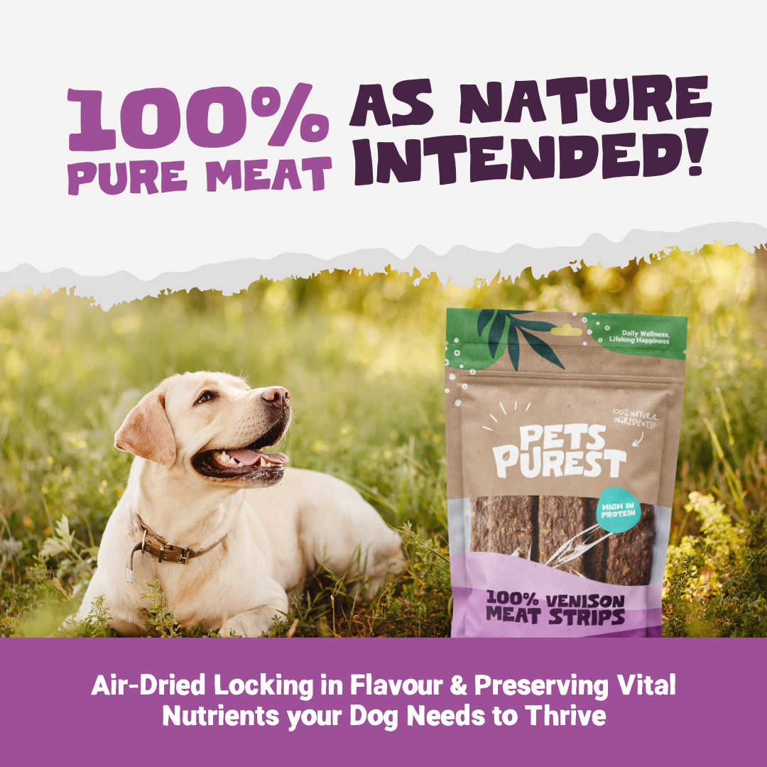 100% Natural Venison Meat Strips for Dogs | 100g