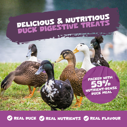 Pre, Pro & Post-Biotic Digestive Treats | 200g