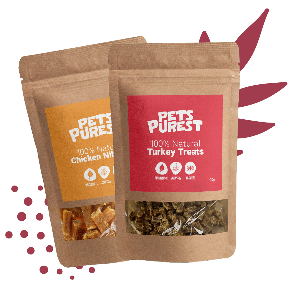 Healthy Dog Treats