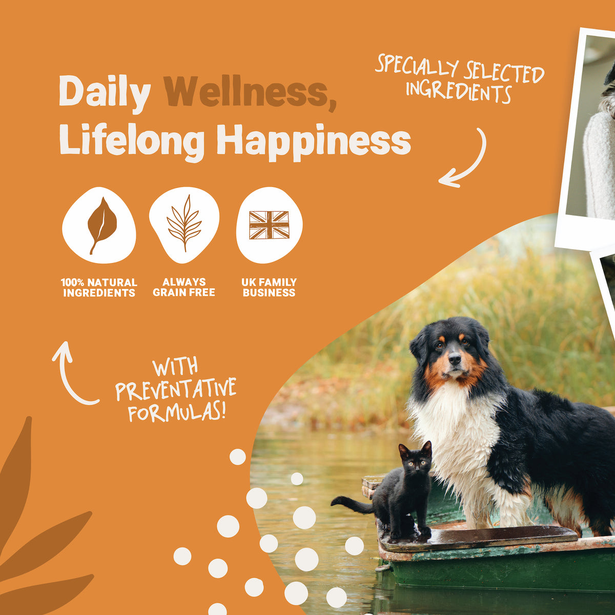Daily All Itch Salmon Oil for Dogs and Cats | 300ml