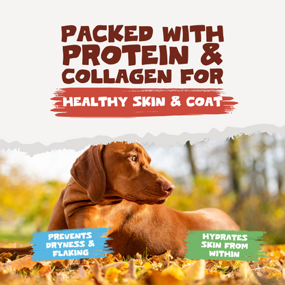 Beef Bone Broth Powder | 250g (Wholesale)