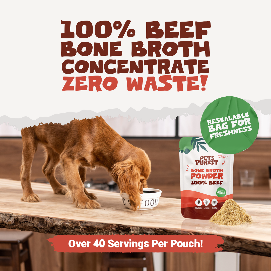 Beef Bone Broth Powder for Dogs and Cats