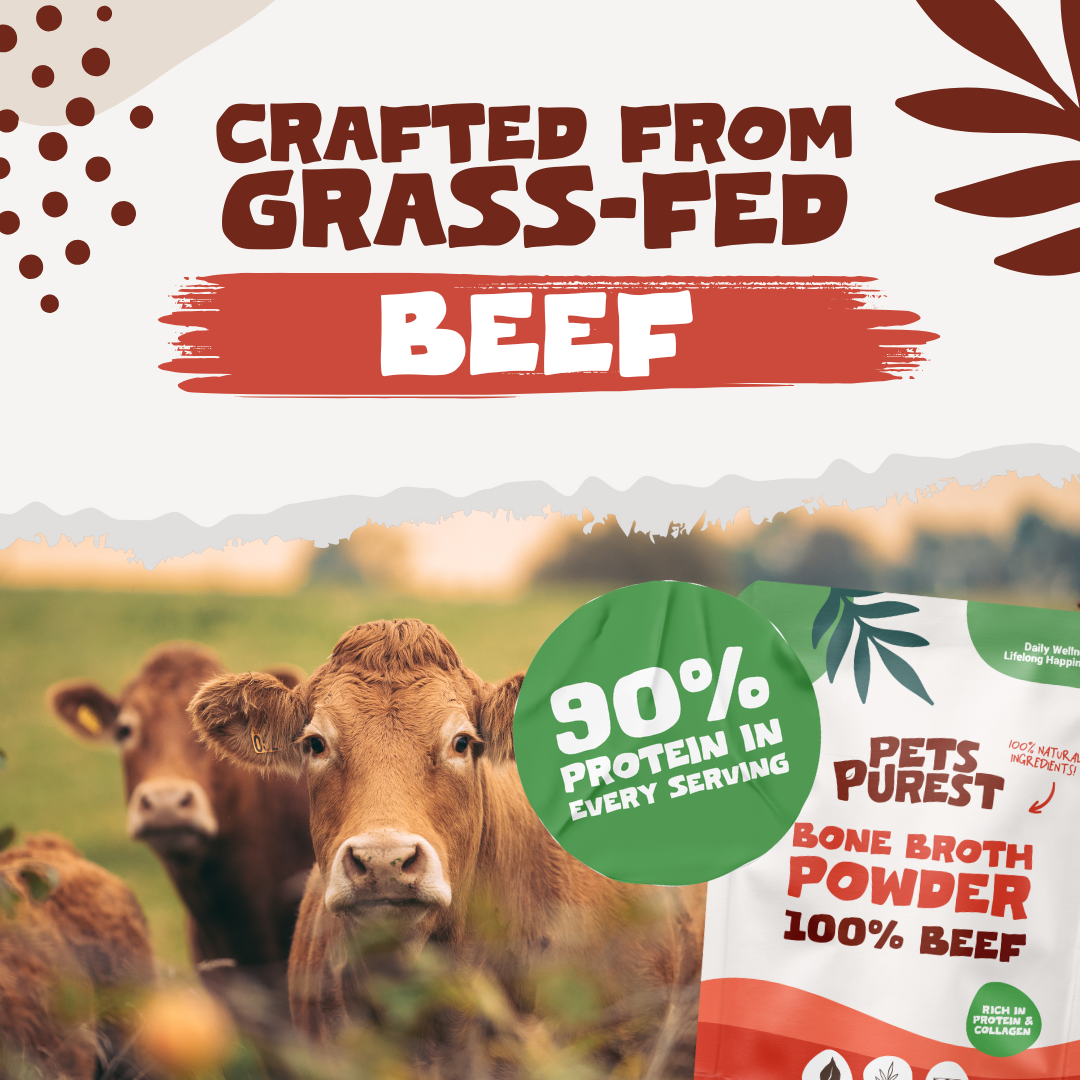 Beef Bone Broth Powder for Dogs and Cats