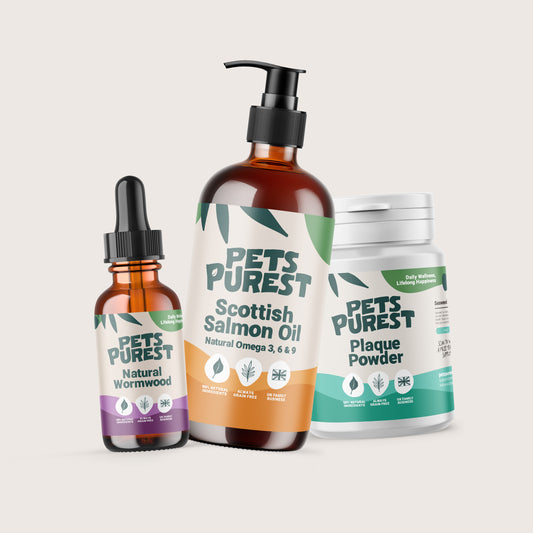 Supplement Bundle For Dogs