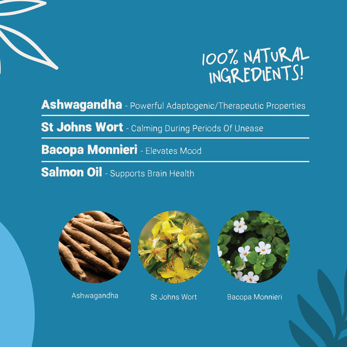 Daily Calming Salmon Oil for Dogs and Cats | 300ml